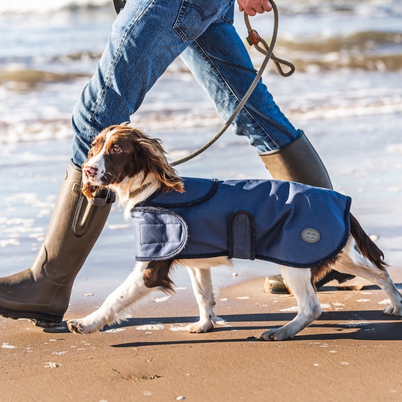 Blue dog clearance jacket